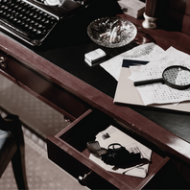 Criminal Lawyer